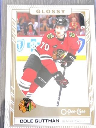 2023-24 Upper Deck Series 2 Hockey Cole Guttman ﻿O-Pee-Chee Glossy Insert #R-32