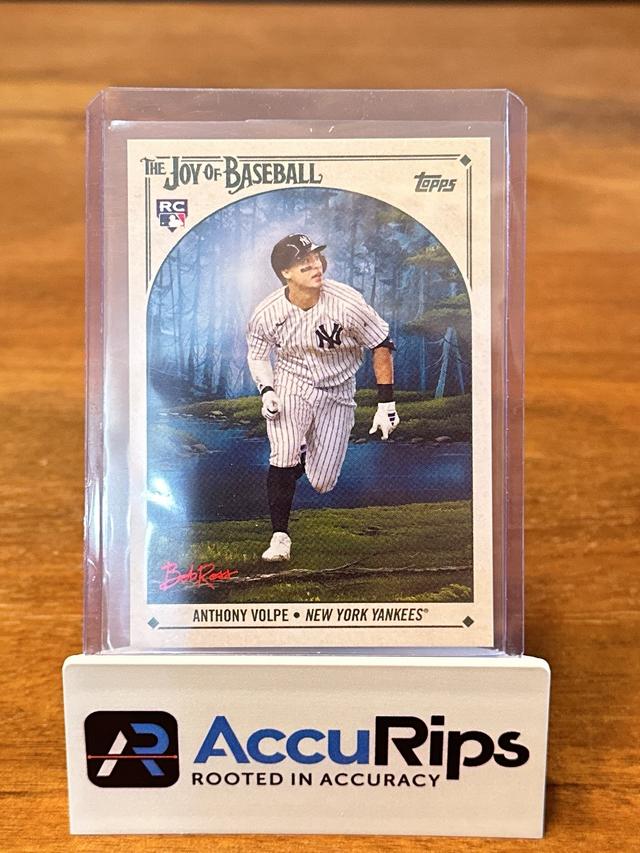 2023 Topps x Bob Ross Anthony Volpe Base #66