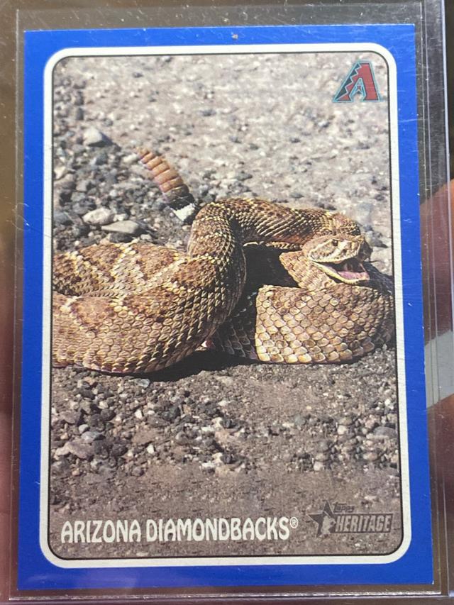 2024 Topps Heritage Arizona Diamondbacks 1975 TOPPS ZOO WHO STICK ONS #75Z-8