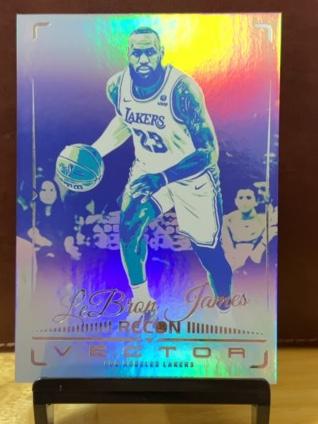 2023-24 Panini Recon Basketball LeBron James Vector #17