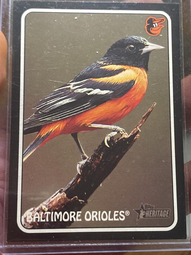 2024 Topps Heritage Baltimore Orioles 1975 TOPPS ZOO WHO STICK ONS #75Z-3