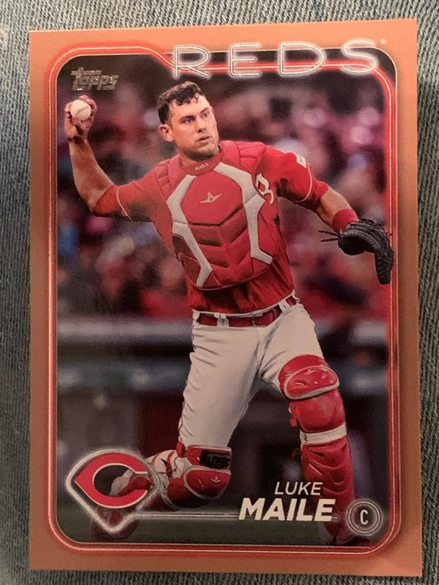 2024 Topps Update Series Luke Maile ﻿Base Set Gold /2024 #US167